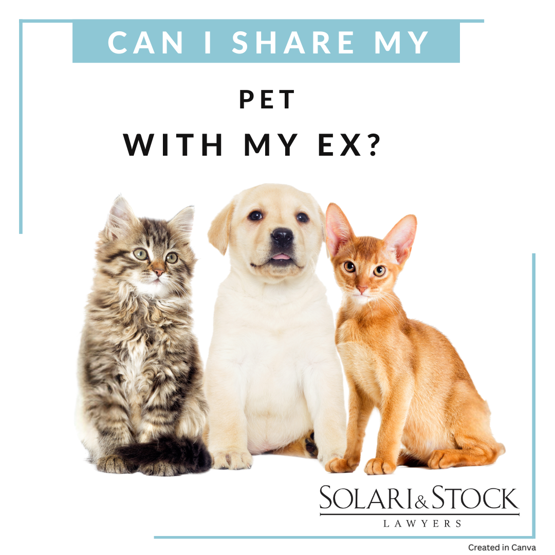 Can I share my pet with my ex?