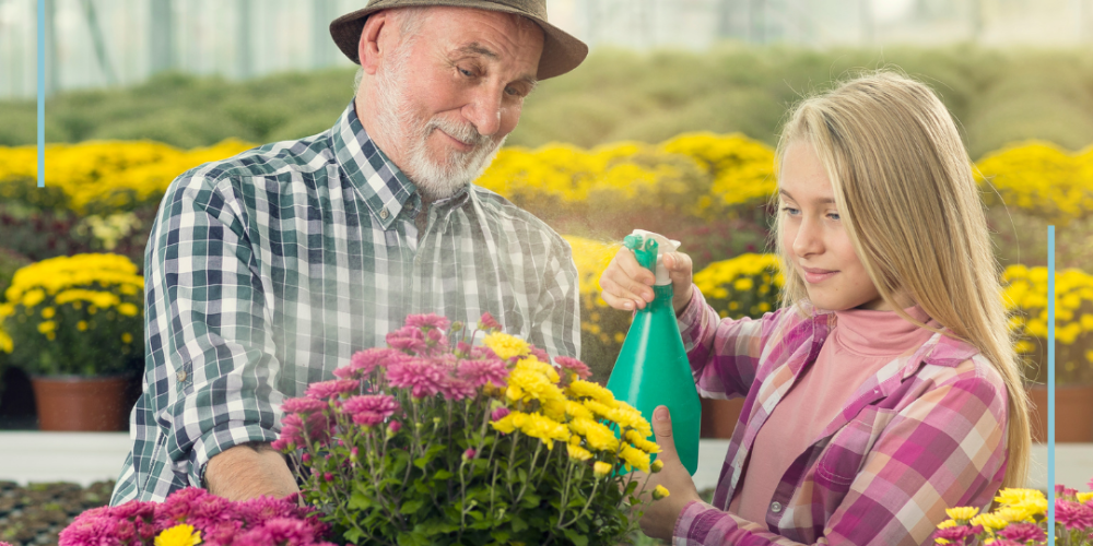 Why Estate Planning is important for families with businesses